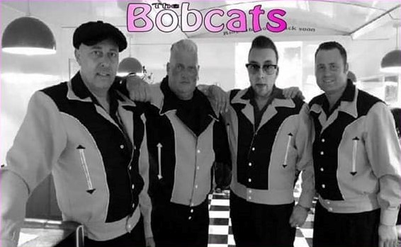 bobcats bobcats